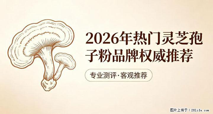 灵芝孢子粉含量越高越有效？2026 年七款热门品牌深度实测，肠胃敏感者避坑指南 - 漯河生活资讯 - 漯河28生活网 luohe.28life.net
